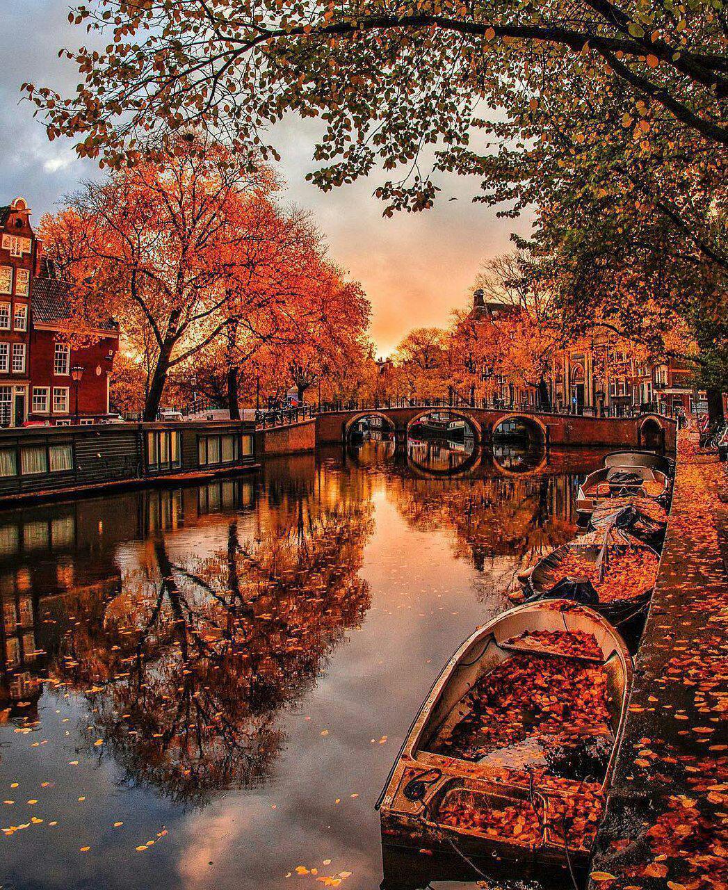 پاییز در آمستردام - هلند