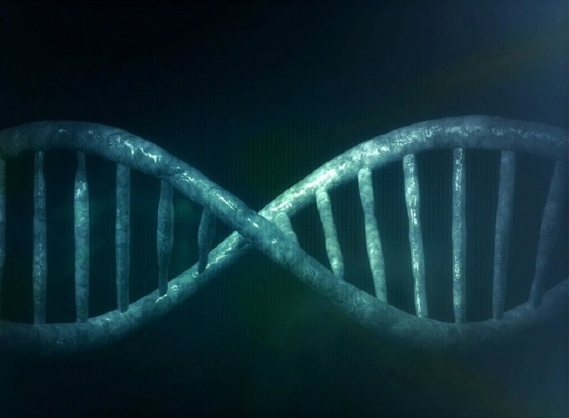 ژن‌ها بعد مرگ انسان زنده می‌مانند