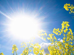 ۱۰ فایده نور خورشید برای سلامتی