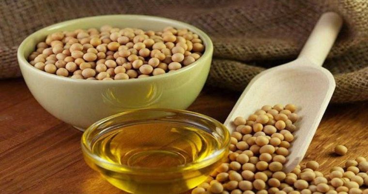 کاهش کلسترول با لوبیای سویا