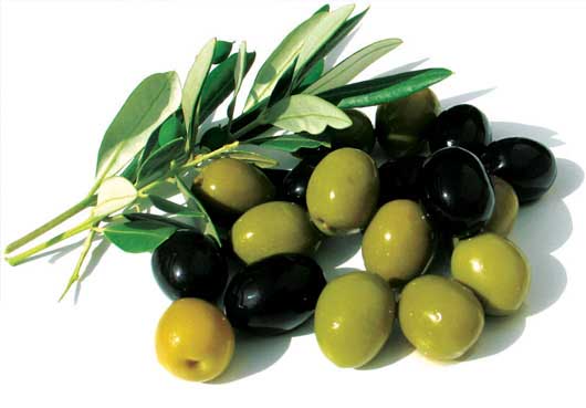 خاصیت شفابخشی در برگ، میوه و روغن زیتون