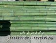 بَیع خَشَب البامبو و نی الخیزران – جُملَةً و تَجزِئَةً